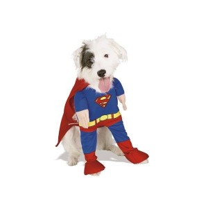 disfraz-superman-para-perros