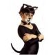 Complementos disfraces animales