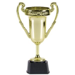 Trofeo copa