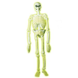 Esqueleto plástico 150 cm.