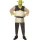 Disfraz shrek adulto hombre