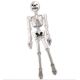 Esqueleto hinchable 1.83m