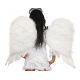 Alas angel plumas gigantes