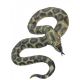 Serpiente realista 1.80m