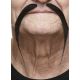 Bigote chino profesional