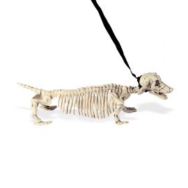 Perro tejon esqueleto