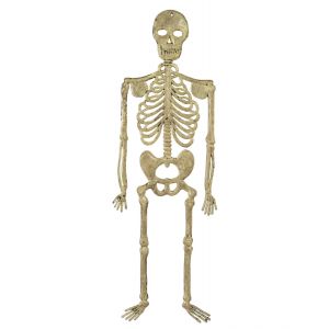 Esqueleto 32 cm