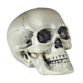 Calavera 21cm pvc