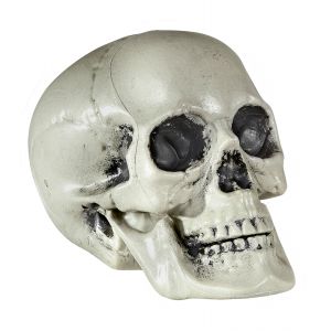 Calavera 21cm pvc