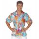 Camisa hawaiano raso