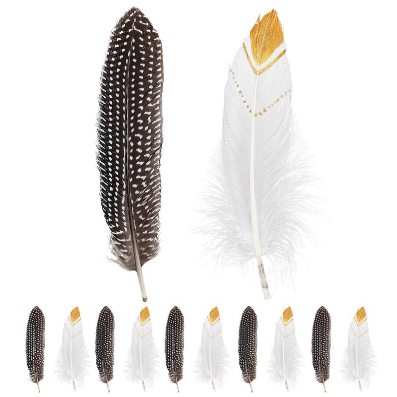 set plumas indio