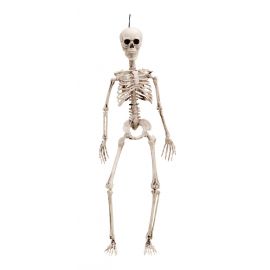 Esqueleto 50 cm