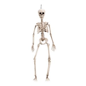 Esqueleto 50 cm
