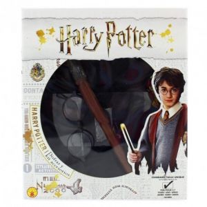 Disfraz harry potter caja