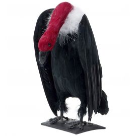 Buitre con plumas 26cm