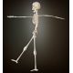 Esqueleto 40cm 