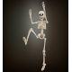 Esqueleto 50cm 