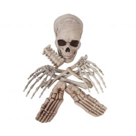 Set huesos esqueleto