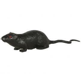 Raton negro