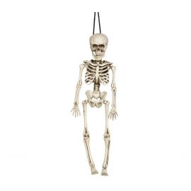 Esqueleto 40cm