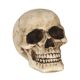 Calavera resina 8cm