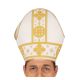 Disfraz papa ordenado