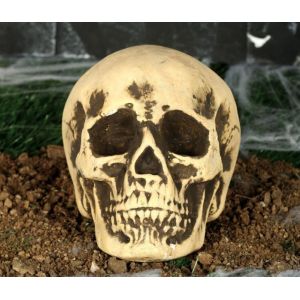Calavera foam 22cm