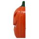 Calabaza luz y son 30x21