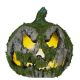 Calabaza musgo luz