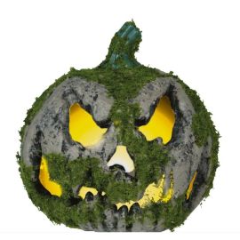 Calabaza musgo luz