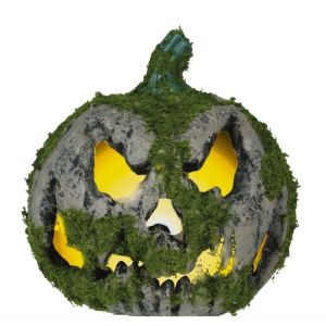 Calabaza musgo luz