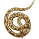Serpiente 2 metros