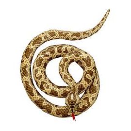 Serpiente 2 metros