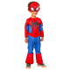 Disfraz spidey