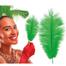 Bolsa 12 plumas verdes 25-35